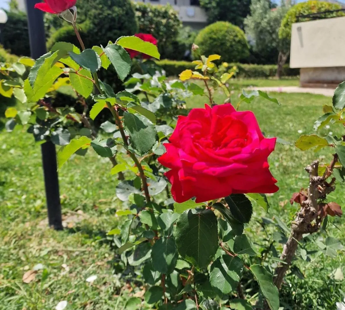Apartmán Possidi Garden